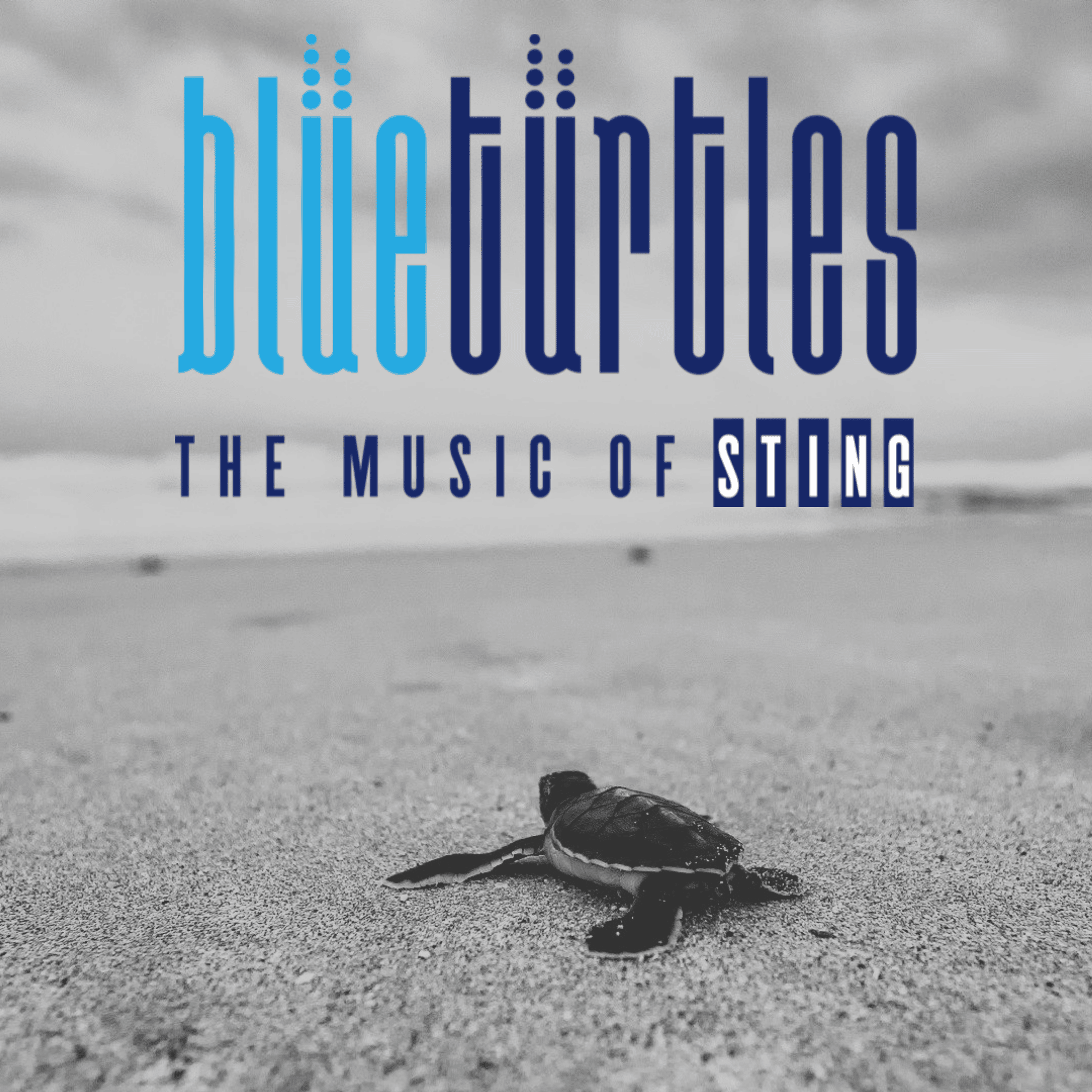 BLUE TURTLES - The Music of STING 🎵 LIVE Music @ Doo-Bop